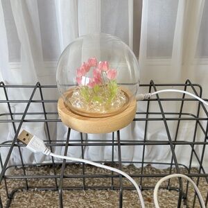 Glass Dome USB Flower Light